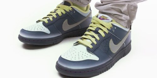 Nike Dunks Shoes from $48.73 (Regularly $95)