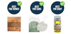 Safe & Non Toxic Air Freshener & Perfume Products | Hip2Save