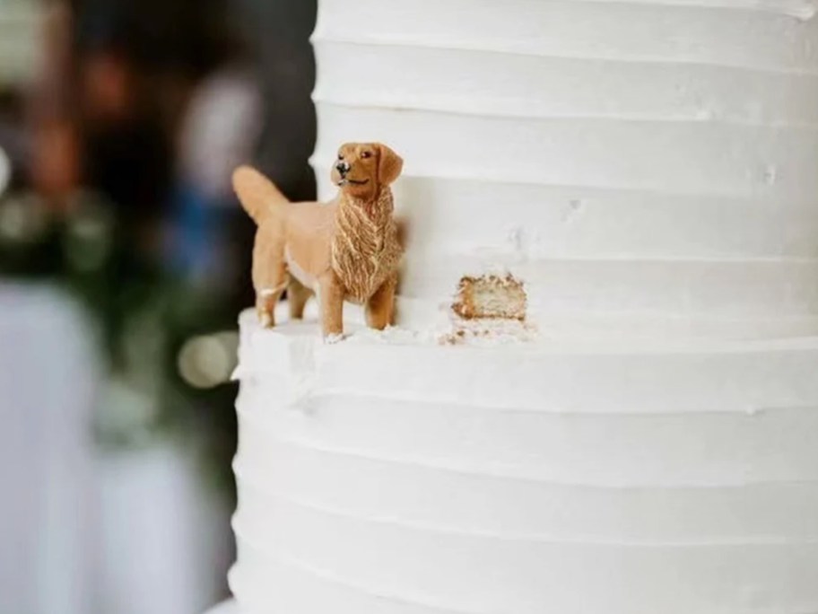 dog cake topper taking bite out of cake