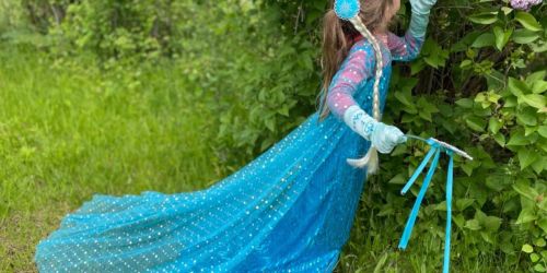 Princess Elsa Costume Only $14.75 on Amazon (Regularly $30)