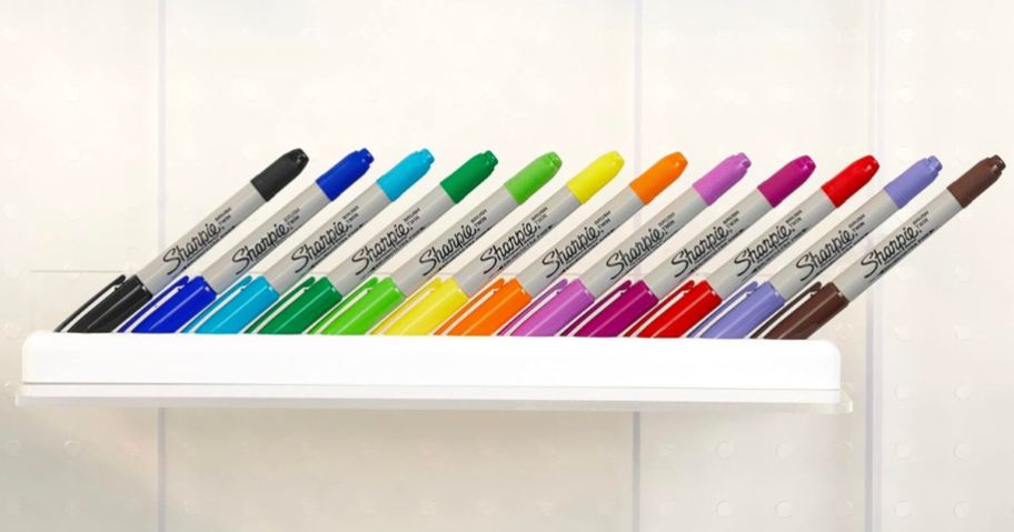 12 Sharpie Brush Twin Markers on display