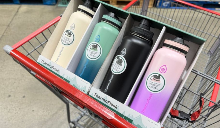 two thermoflask 2 packs in a shopping cart in a costco club