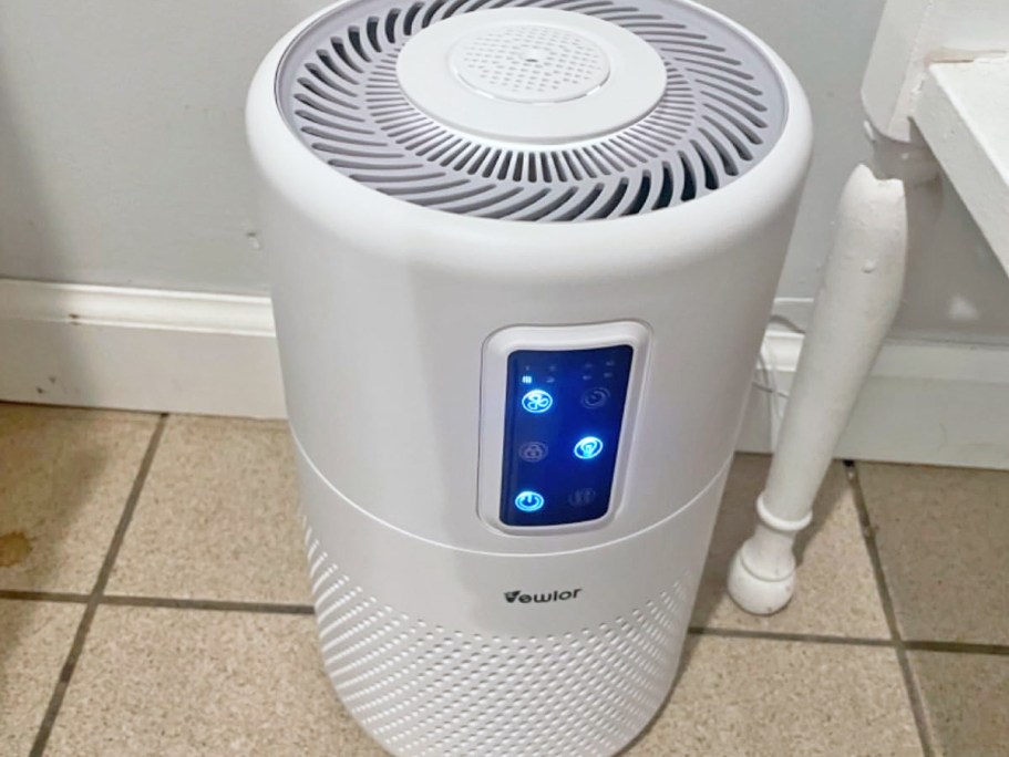 HEPA Air Purifier Only $44.49 Shipped on Amazon (Great for Large Rooms)