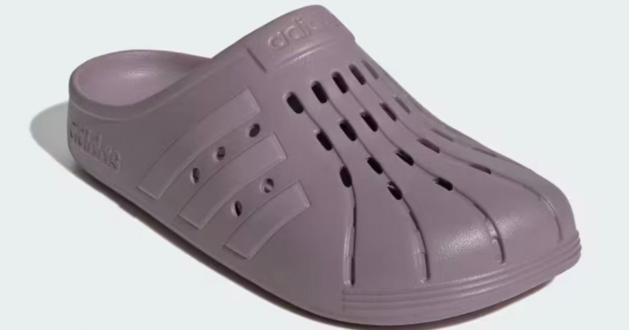 purple adidas clog stock image