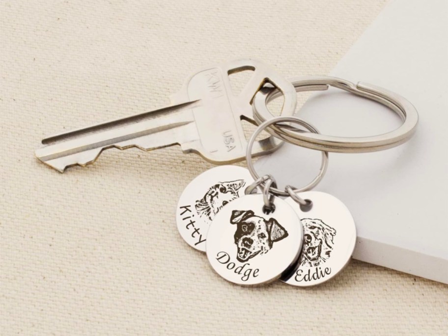 keychain with image of two dogs and cat connected to key