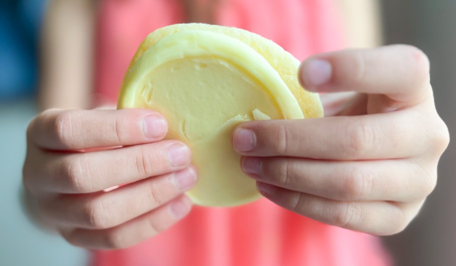 hands holding cookie with icing