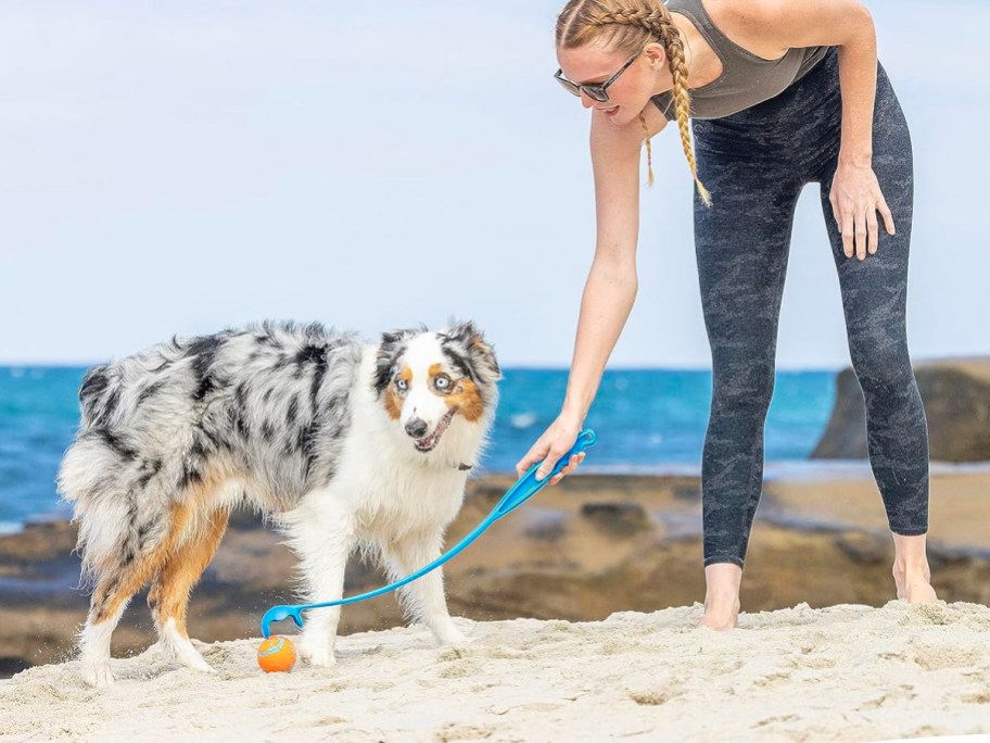 woman picking up ball with launcher toy at beach with dog next to her