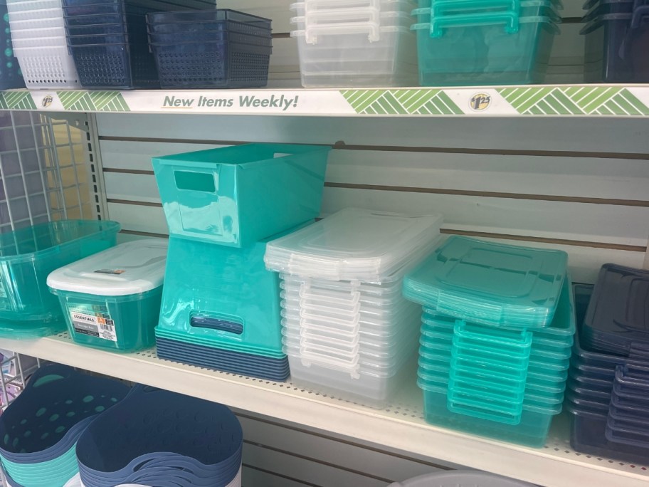 teal, white and blue plastic storage bins with lids and rectangle bins with handles