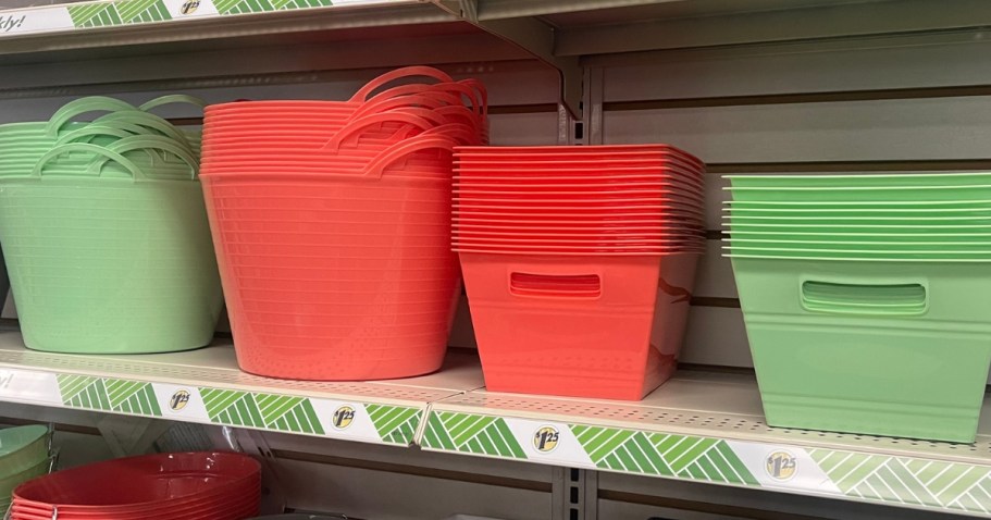 Get Organized with Dollar Tree Storage Baskets for JUST $1.25!