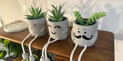 Artificial Succulents 3-Piece Set Only $9.99 on Amazon