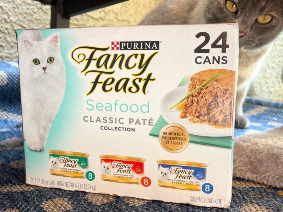 24 pack of fancy feast on ground next to cute cat