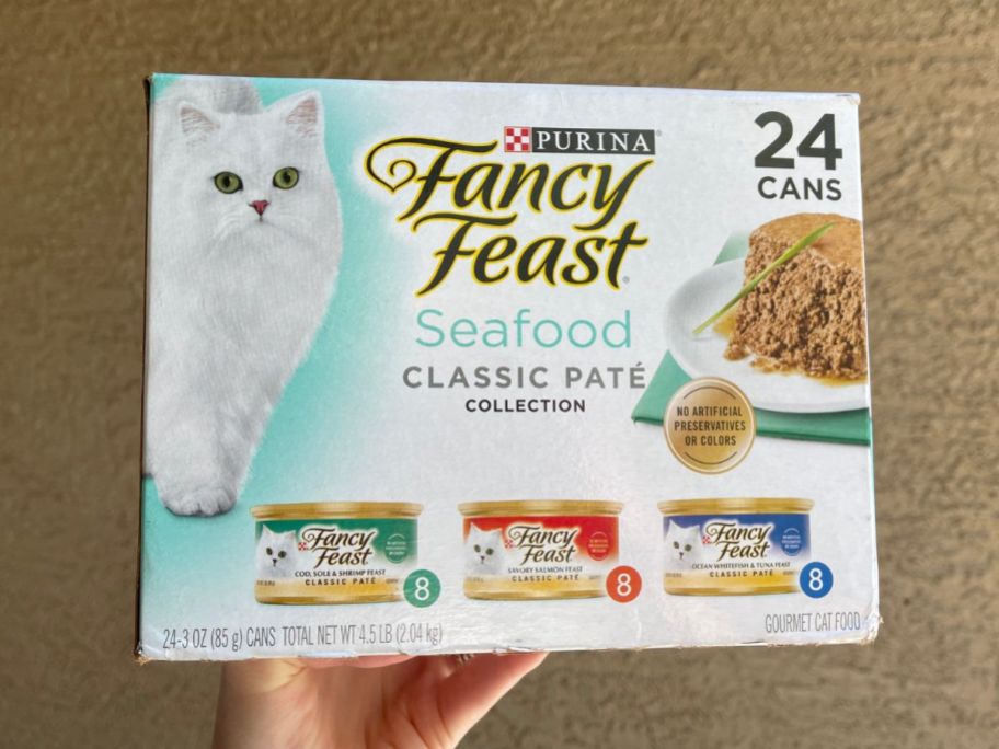 24 pack of fancy feast being held up on brown background
