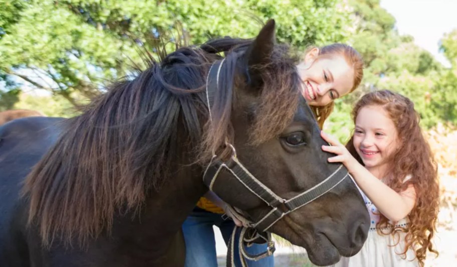 kids petting horse