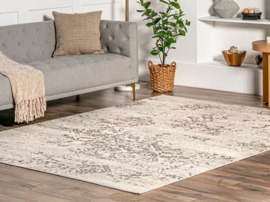 nuLOOM Vintage Freja 8' x 10' Beige Area Rug in living room