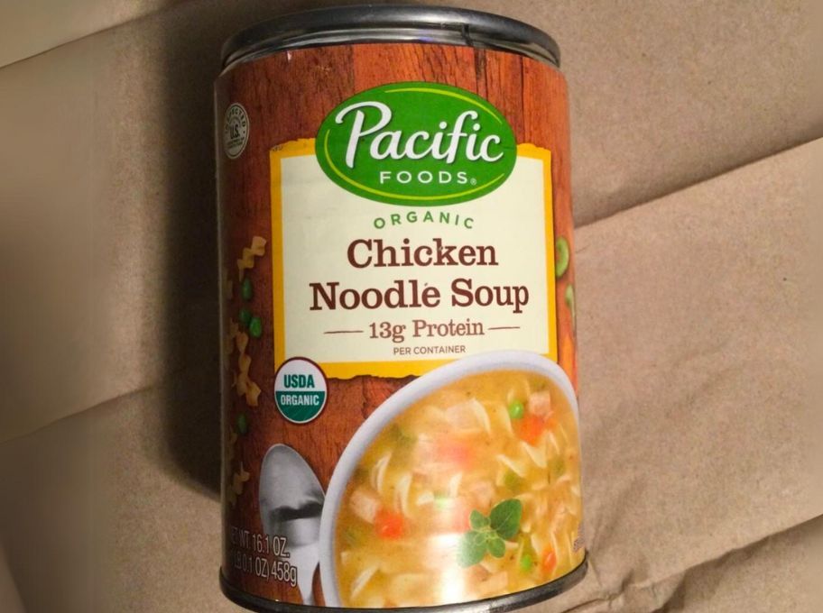 a can of chicken noodle soup