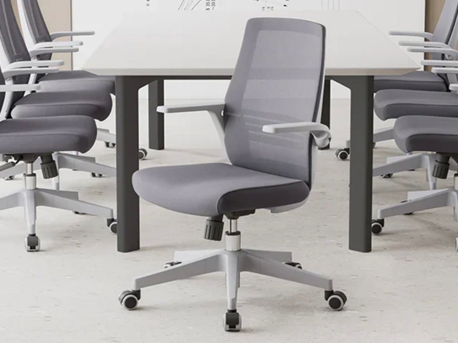 sihoo gray and white office chair in room with large desk