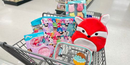 NEW Squishmallows Accessories at Hobby Lobby Starting Under $5
