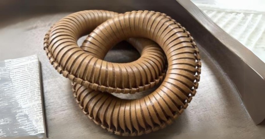 leather round links decor on a coffee table