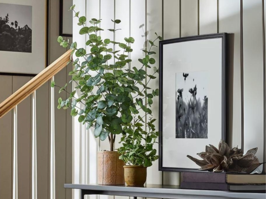 tall faux eucalyptus plant in a ceramic pot on a console table with a smaller plant and other items beside it