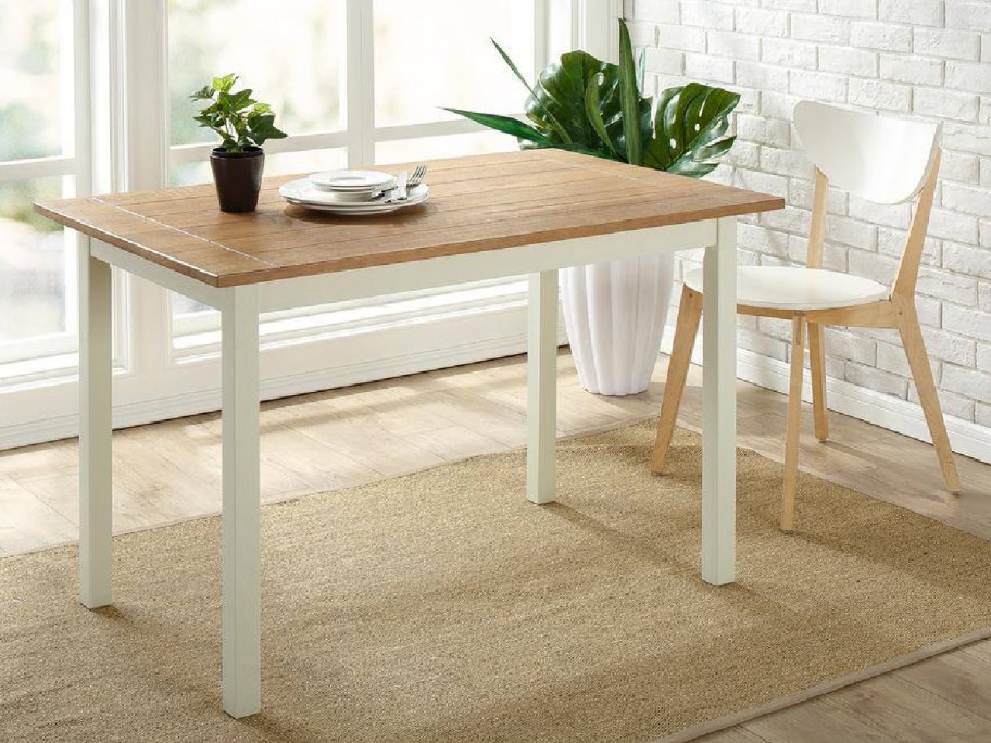 white dining table with chair in dining room wth plant next to chair