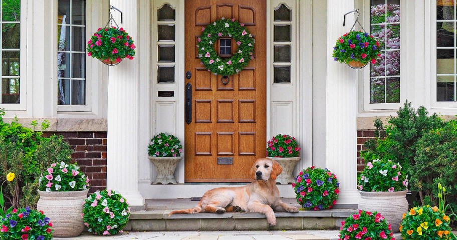front entryway with flowered wreath, hanging baskets, and spheres with dog sitting on stairs