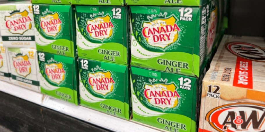 THREE Soda 12-Packs Only $10.99 at Walgreens | Canada Dry, 7UP, Sunkist, A&W, & More