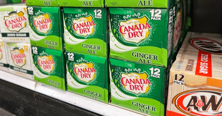 canada dry ginger ale and A&W on shelf