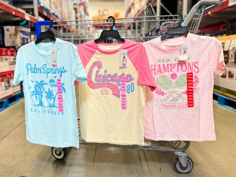 women's destination t-shirts with Palm Springs, Chicago and Hamptons hanging from shopping cart