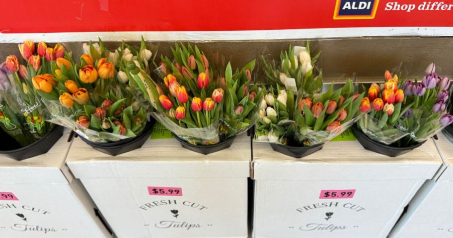 Aldi Fresh Cut Tulip bouquets in the store