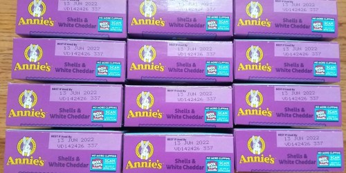 Annie’s Mac & Cheese Yummy Bunny 12-Pack Only $10.62 Shipped on Amazon