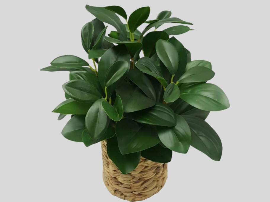 Better Homes & Gardens 13" Faux Peperomia Plant in Wicker Basket