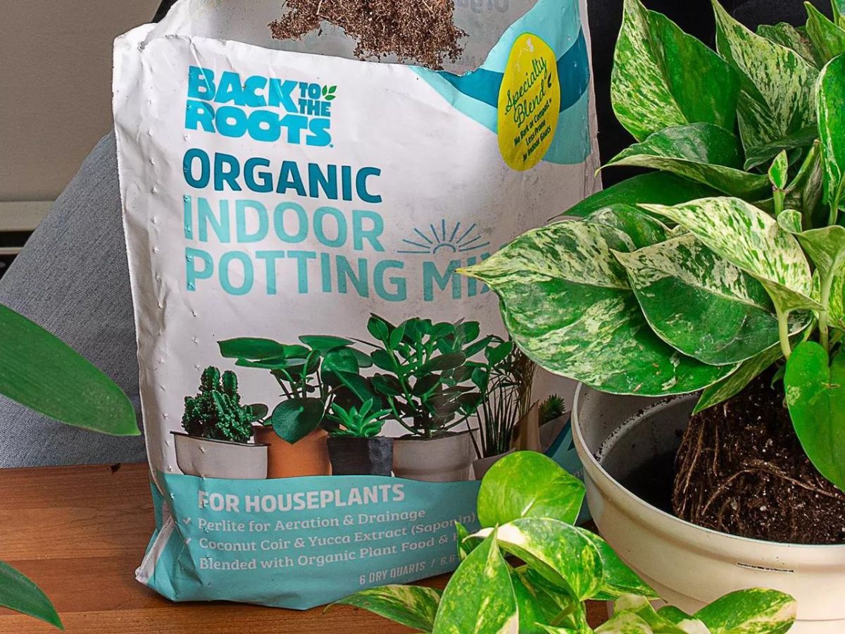 Back to the Roots Organic Potting Mix Just 99¢ After Cash Back at Target