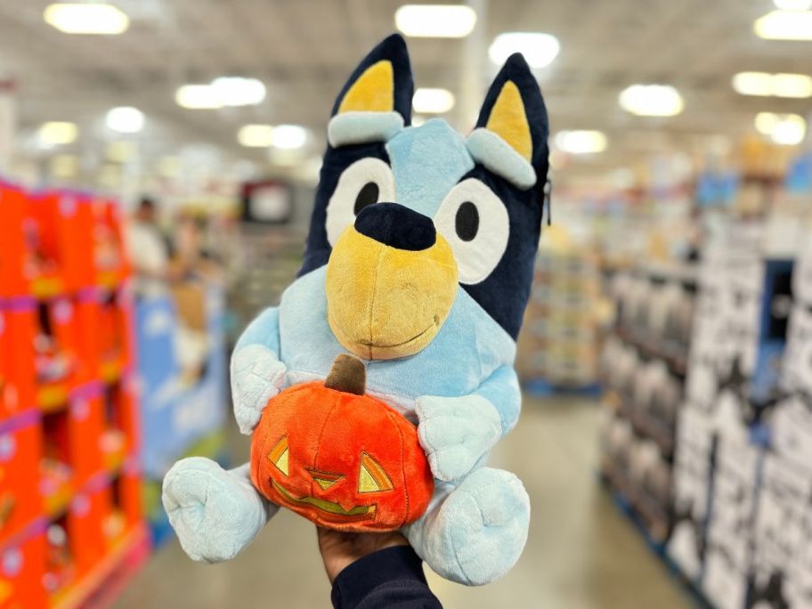 hand holding Bluey pumpkin18-inch Jumbo Halloween Plush in store