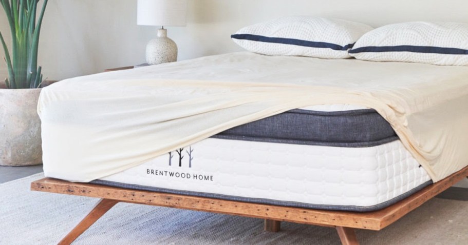 Up to 60% Off Brentwood Home + Free Shipping | Toxic-Free Organic Mattresses & More