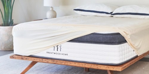 Up to 60% Off Brentwood Home + Free Shipping | Toxic-Free Organic Mattresses & More