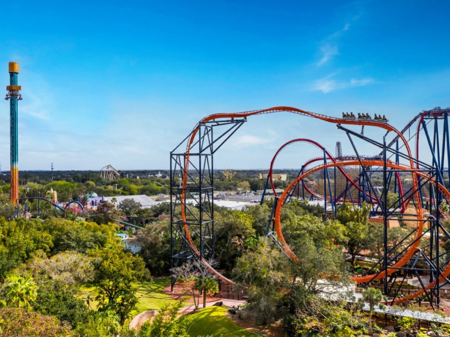 large roller coaster at Busch Gardens Tampa park