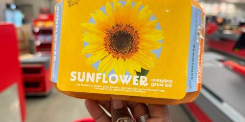 Grow Your Own Garden Kits Only $3 at Target | Fun Screen-free Activity!