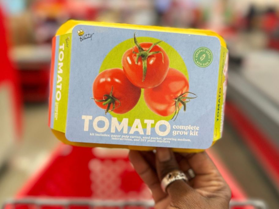 A hand holding a Buzzy Tomato Complete Grow Kit