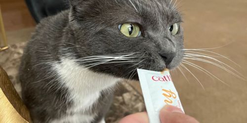 Catit Creamy Lickable Cat Treats 5-Pack Only $1.59 Shipped on Amazon
