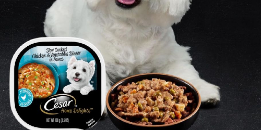 Cesar Wet Dog Food 24-Pack Just $9.68 Shipped on Amazon (Reg. $36)