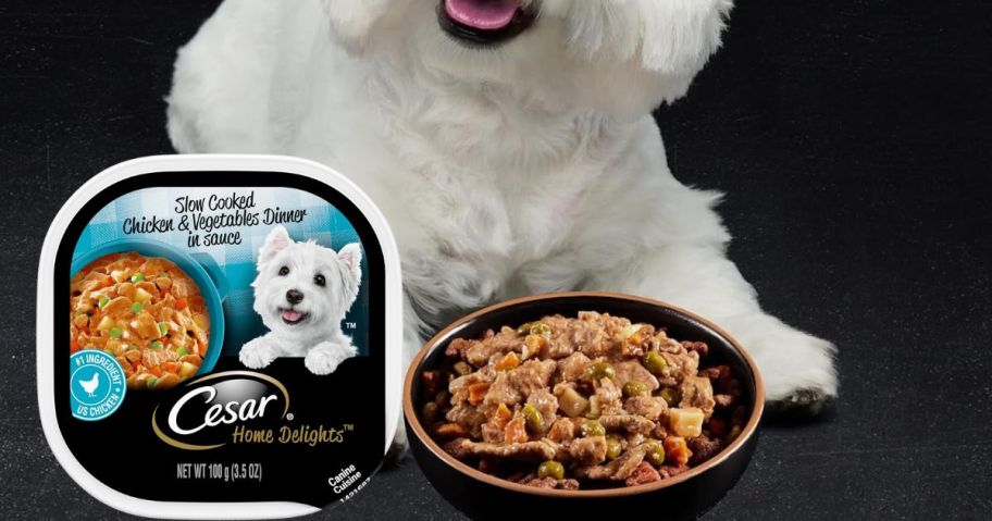 A dog with a bowl of dog food