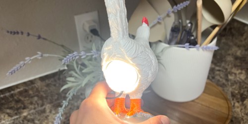 Under $20 Chicken Laying An Egg Lamp on Amazon (Unique Gift Idea!)