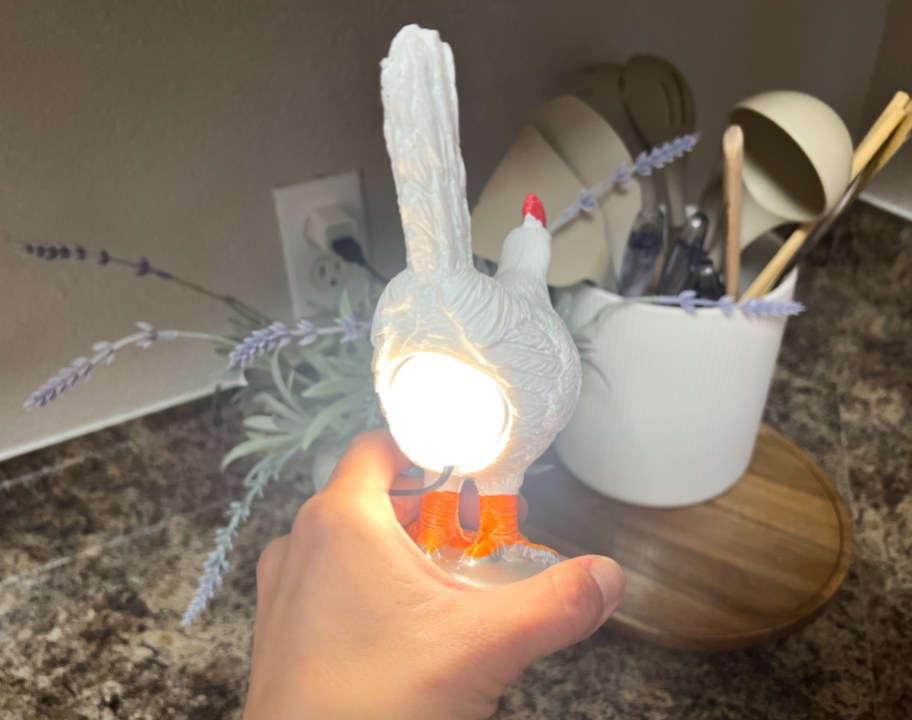 the lightbulb in a chicken egg night light
