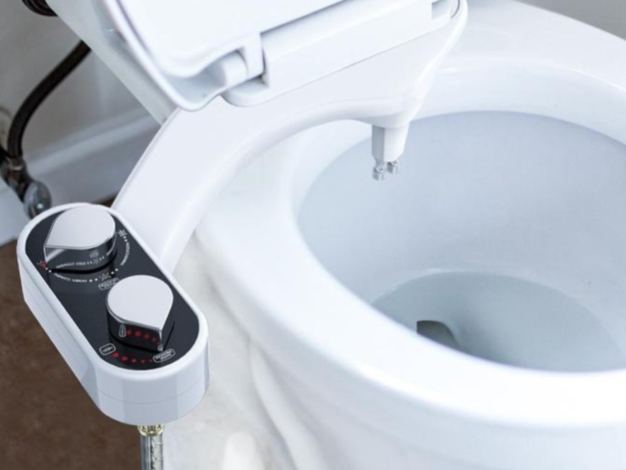 toilet with clear rear bidet attachment