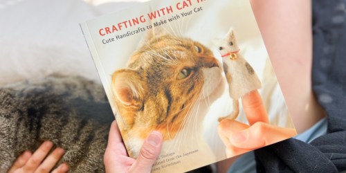 Get the Book ‘Crafting With Cat Hair’ Before it Sells Out (Under $10!)