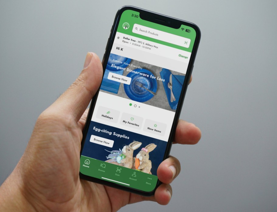 WOAH… Dollar Tree Has a NEW App! (+ More Changes Coming to Stores in 2024)