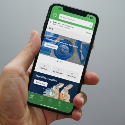 WOAH… Dollar Tree Has a NEW App! (+ More Changes Coming to Stores in 2024)