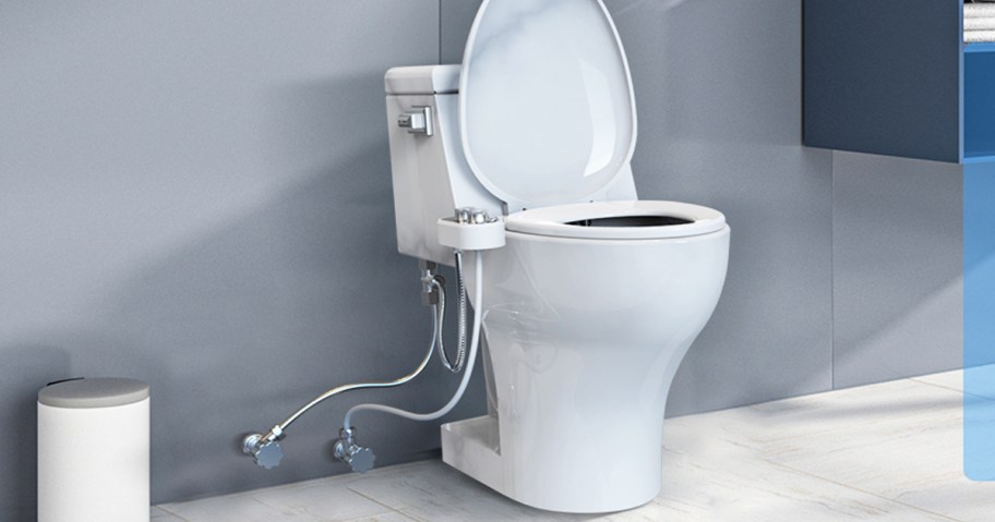 toilet with a bidet attachment