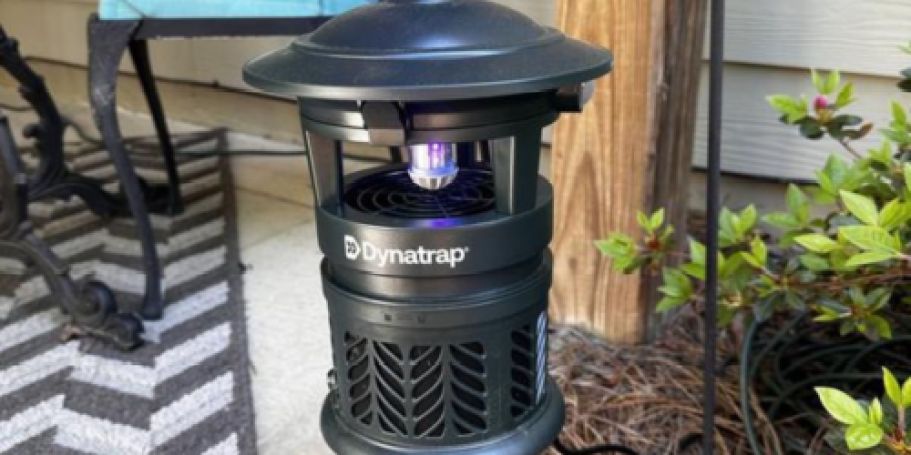 DynaTrap Insect Traps from $45.50 Shipped (Regularly $80)