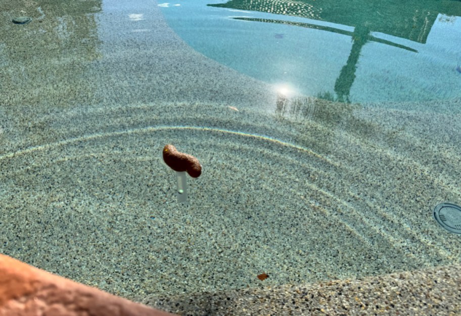 Fake poop thermometer in a swimming pool